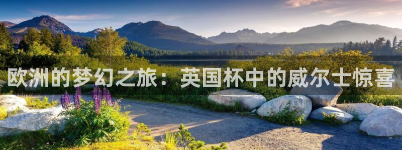世界杯2026比赛时间表：欧洲的梦幻之旅：英国杯中的威尔士惊喜