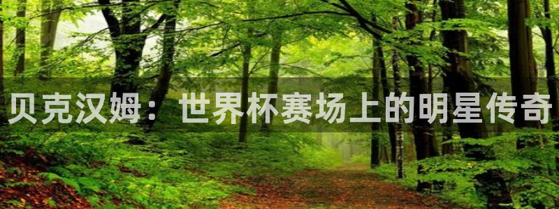 世界杯欧洲区预选赛：贝克汉姆：世界杯赛场上的明星传奇