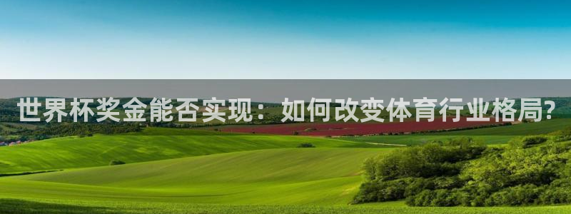 世界杯球队排名：世界杯奖金能否实现：如何改变体育行业格局?