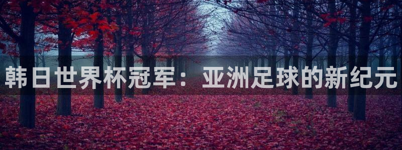 世界杯亚洲区预选赛积分榜：韩日世界杯冠军：亚洲足球的新纪元