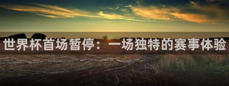 世界杯官网入口：世界杯首场暂停：一场独特的赛事体验