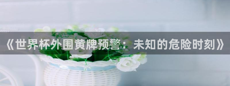世界杯第一场比赛：《世界杯外围黄牌预警：未知的危险时刻》