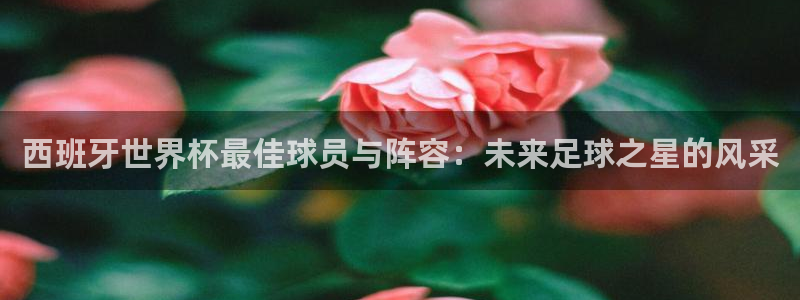 世界杯预选赛赛程：西班牙世界杯最佳球员与阵容：未来足球之星的风采