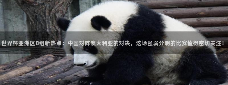 世界杯亚洲预选赛18强赛程：世界杯亚洲区B组新热点：中国对阵澳大利亚的对决，这场强弱分明的比赛值得密切关注！