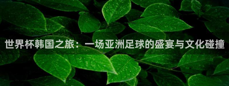 世界杯欧洲预选赛赛程：世界杯韩国之旅：一场亚洲足球的盛宴与文化碰撞