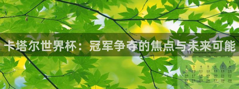 世界杯欧洲区预选赛赛程：卡塔尔世界杯：冠军争夺的焦点与未来可能