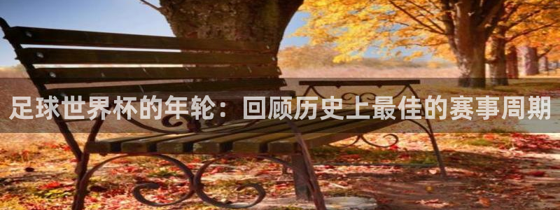 世界杯足球赛2026：足球世界杯的年轮：回顾历史上最佳的赛事周期