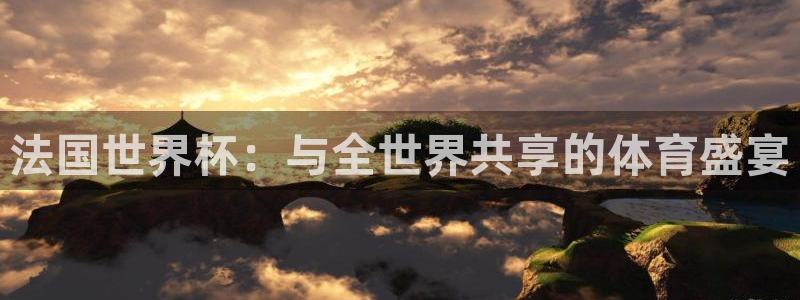 世界杯欧洲预选赛：法国世界杯：与全世界共享的体育盛宴