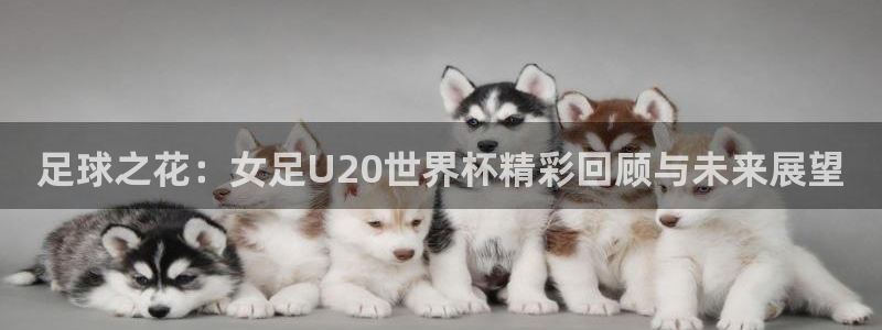 世界杯足球比赛：足球之花：女足U20世界杯精彩回顾与未来展望