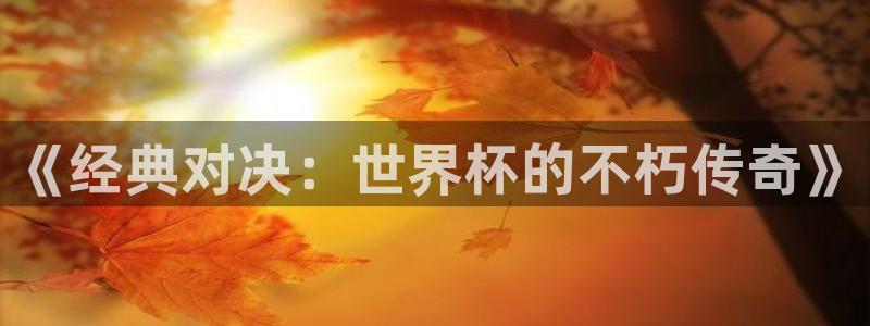 世界杯直播观看：《经典对决：世界杯的不朽传奇》