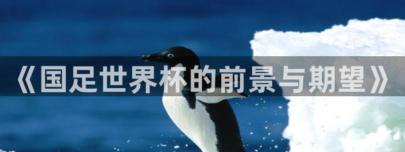2026世界杯直播：《国足世界杯的前景与期望》
