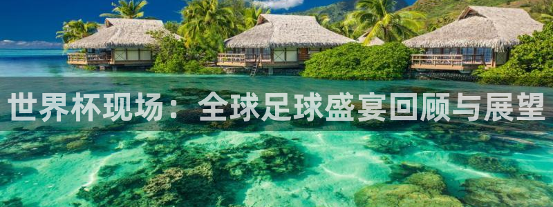 英格兰联赛杯直播：世界杯现场：全球足球盛宴回顾与展望