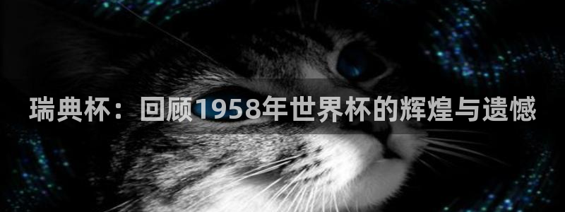 英格兰联赛杯直播：瑞典杯：回顾1958年世界杯的辉煌与遗憾