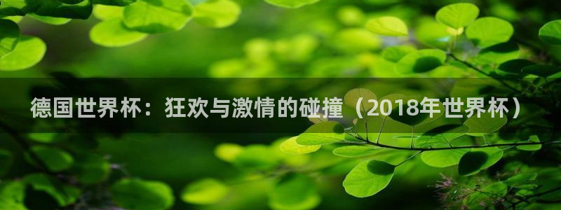 世界杯女足直播：德国世界杯：狂欢与激情的碰撞（2018年世界杯）
